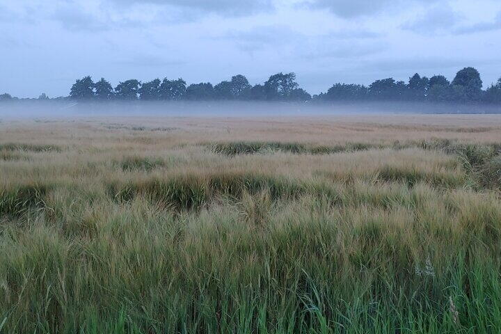 Foto 53 - Bisschopswijk 3, Nieuw-Roden