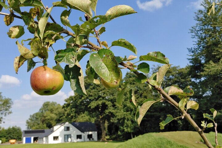 Foto 54 - Bisschopswijk 3, Nieuw-Roden