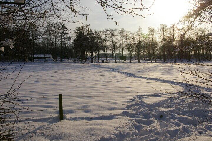 Foto 57 - Bisschopswijk 3, Nieuw-Roden