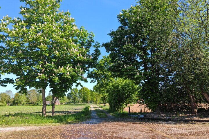 Foto 63 – Bisschopswijk 3, Nieuw-Roden