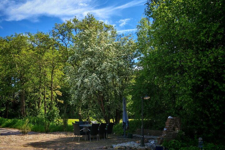 Foto 66 – Bisschopswijk 3, Nieuw-Roden