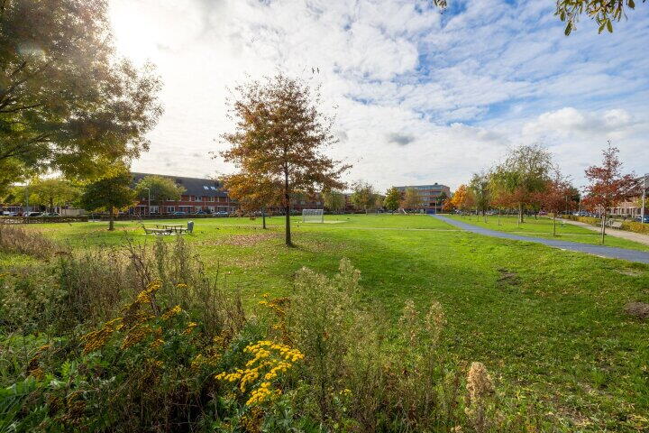 Foto 52 - Boekelermeerstraat 10, Den Haag