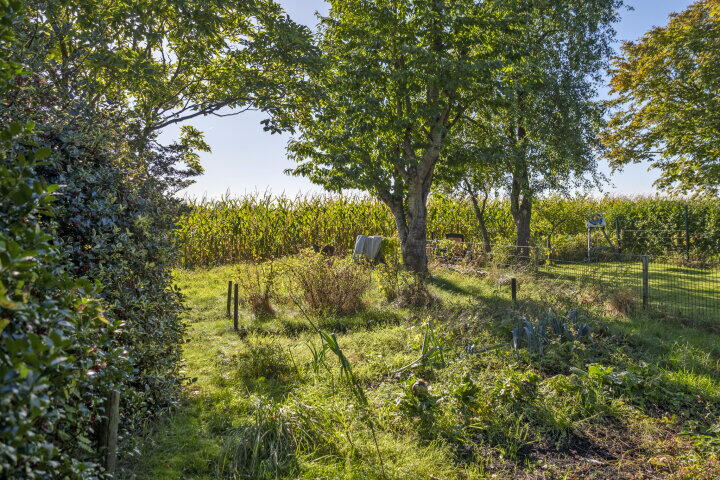 Photo 27 – Borgweg 67, Westerbroek
