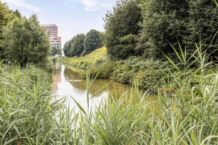 Foto 24 - Boris Pasternakstraat 429, Amsterdam