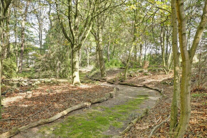 Foto 132 – Bosserheide 43 a, Well L