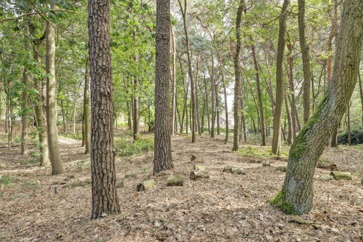 Foto 142 – Bosserheide 43 a, Well L