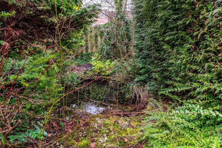 Foto 36 - Botter 38 32, Lelystad