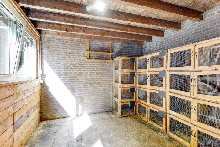 Foto 31 – Bovenderstraat 56, Merkelbeek