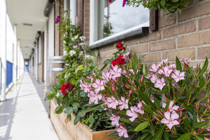 Foto 8 – Brandsmastraat 36, Gouda
