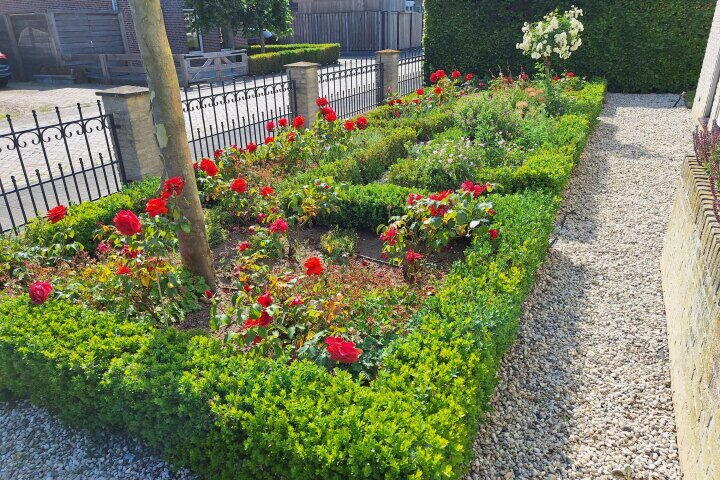 Foto 58 - Bredehof 4, Batenburg