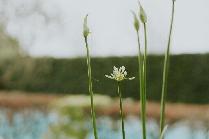 Foto 63 - Bronkhorstdreef 24, Roosendaal