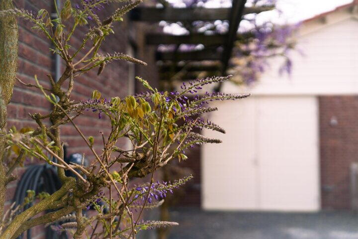 Foto 75 - Bronkhorstdreef 24, Roosendaal