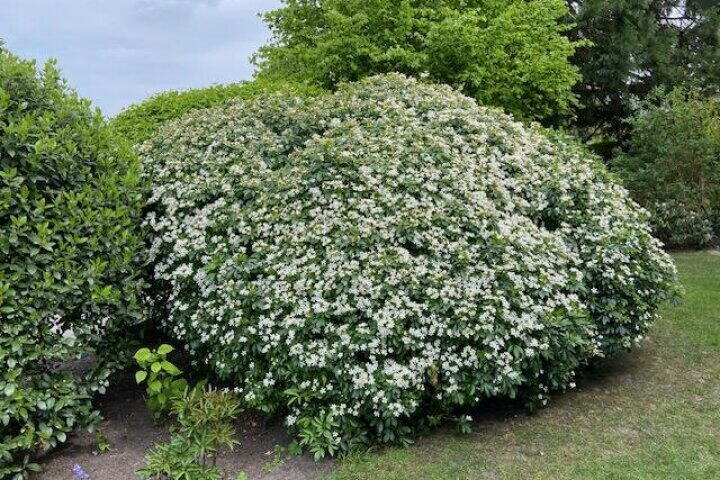 Foto 119 – Brucknerlaan 23, Roosendaal
