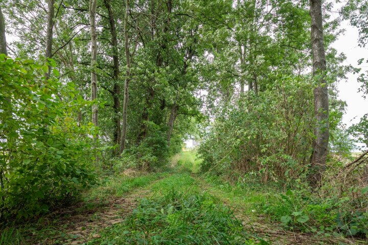 Foto 8 - Brusselseweg 621, Maastricht