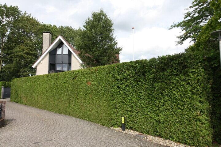 Foto 57 - Buitenhof 9, Vriezenveen