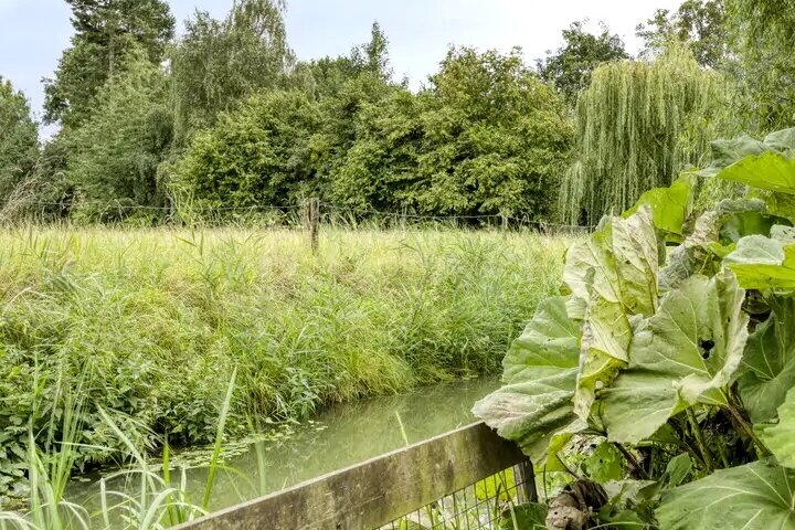 Foto 18 – Burgemeester Buijsstraat 5, Herpt