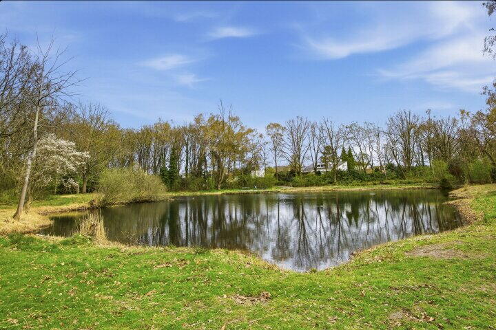 Foto 48 - Burgemeester van Grotenhuisstraat 39, Oosterhout (NB)