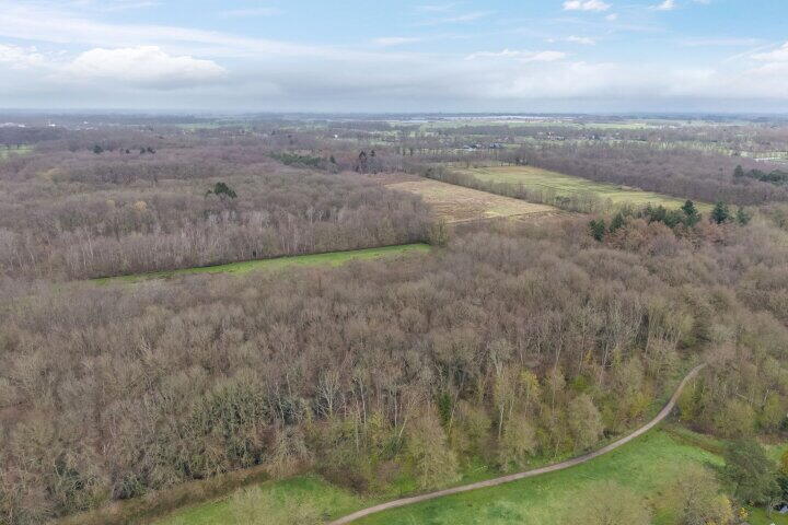 Foto 54 - Camphuysen 1, Roden