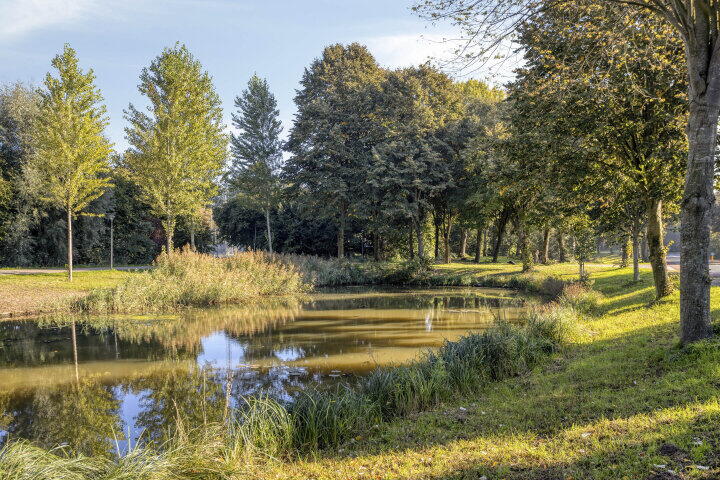 Foto 34 – Carel van Manderdreef 11, Oosterhout