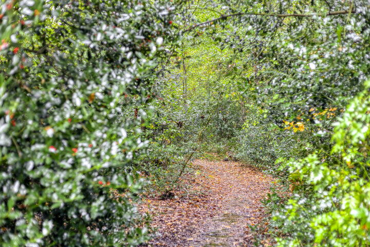 Foto 42 - Ceramstraat 6, Amersfoort