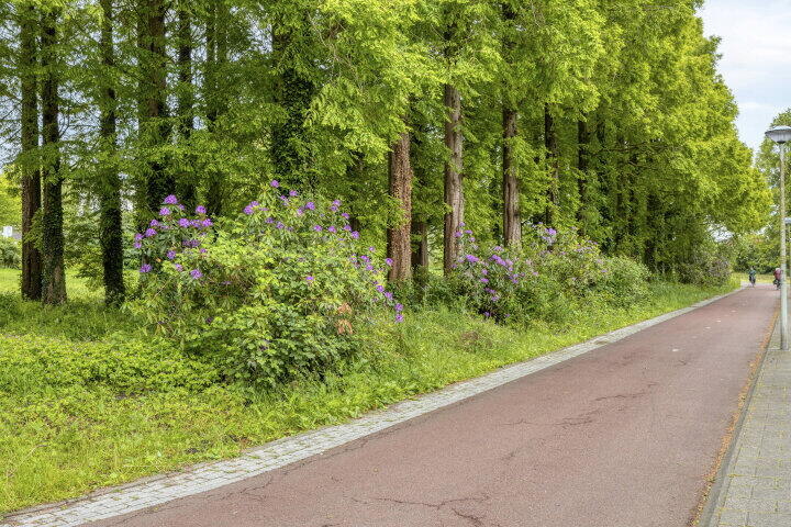 Foto 33 - Chaletberg 35, Roosendaal