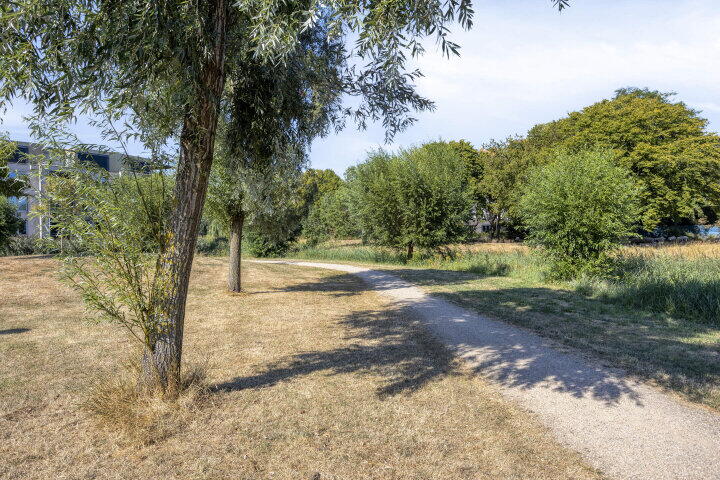 Foto 30 – Cipresberg 57, Roosendaal