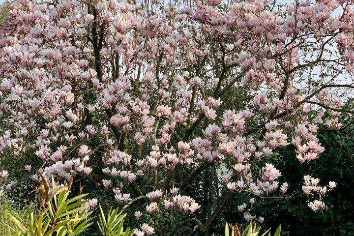 Foto 33 - Cort van der Lindenlaan 19, Arnhem