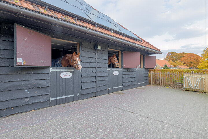 Foto 32 - Darperkerkweg 5, Darp