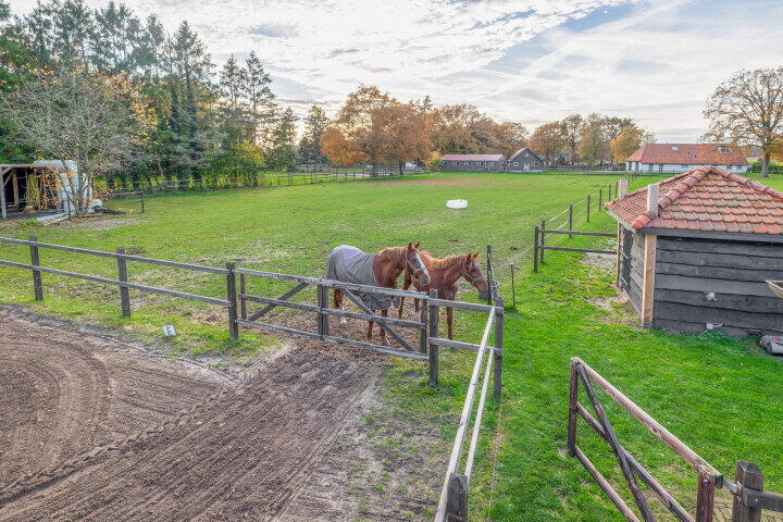 Foto 33 - Darperkerkweg 5, Darp