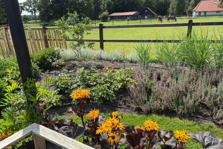 Foto 65 - Darperkerkweg 5, Darp