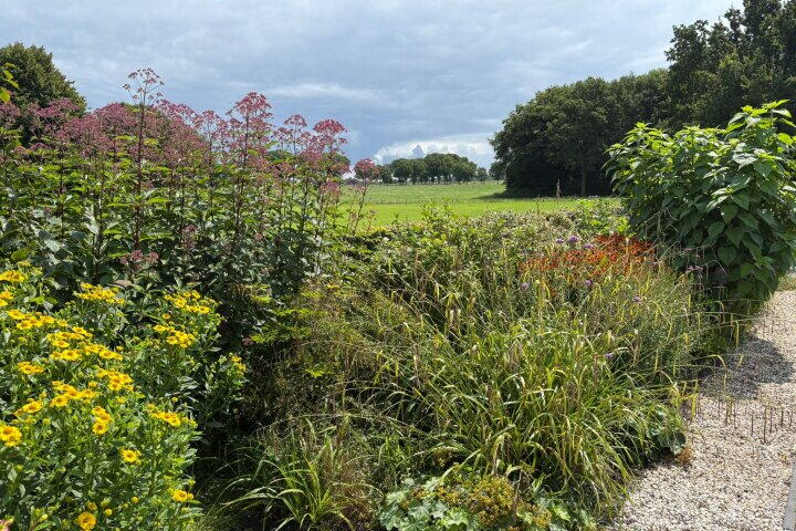 Foto 66 - Darperkerkweg 5, Darp