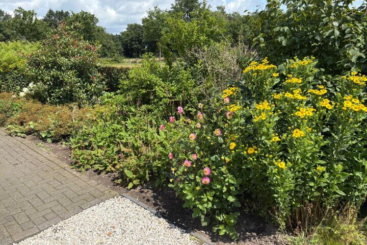 Foto 67 - Darperkerkweg 5, Darp