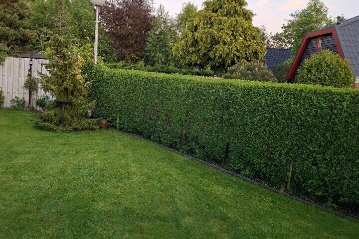 Foto 91 – De Dreef 3 B023, Opmeer