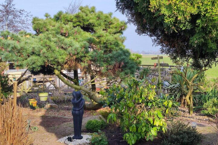 Foto 11 - De Dreef 3 C135, Opmeer