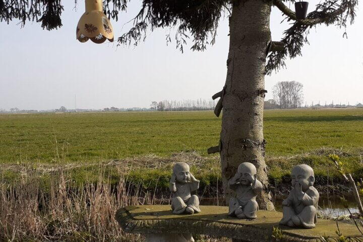 Foto 10 - De Dreef 3 C135, Opmeer