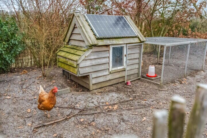 Foto 59 - de Hulst 27, Roden