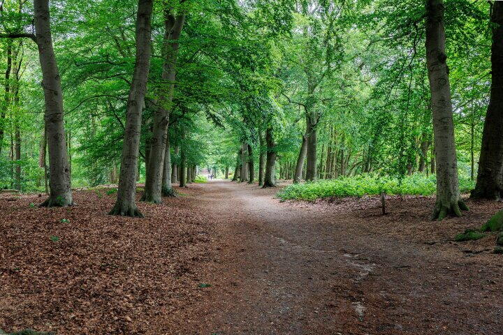 Foto 74 – de Kievit 25, Amerongen