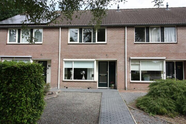 De Koolmees 162