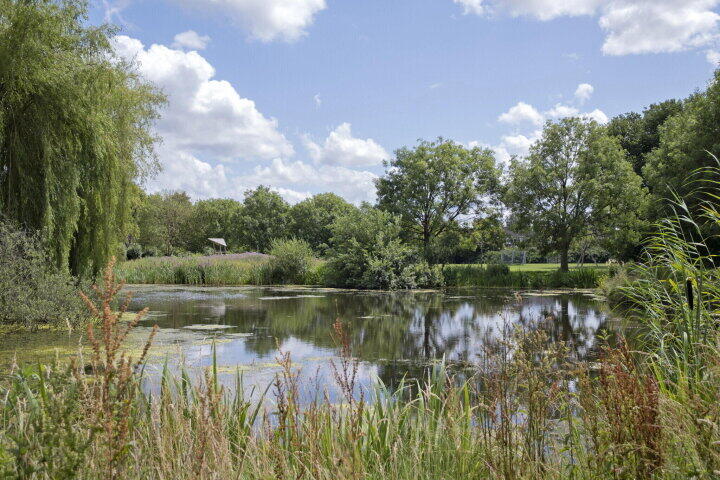 Foto 46 - De Made 3, Beilen