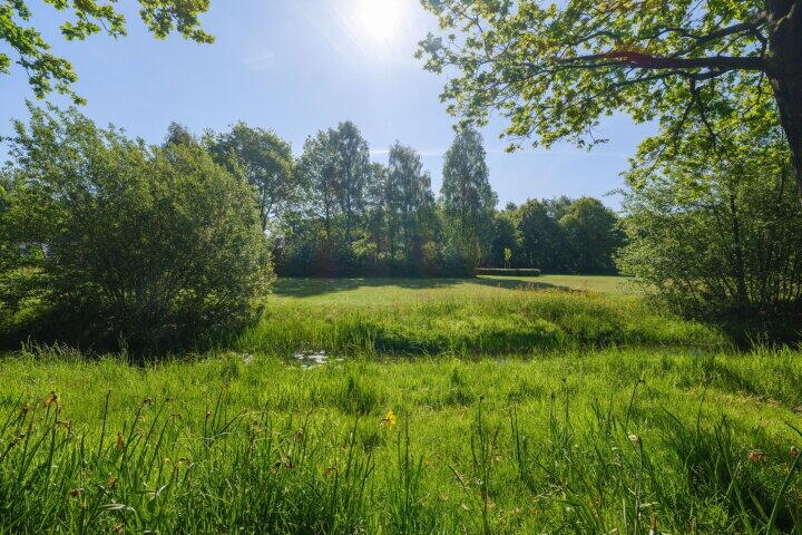Foto 45 – De Telle 70, Ureterp