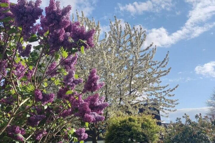 Foto 36 - de Ververt 1554, Wijchen