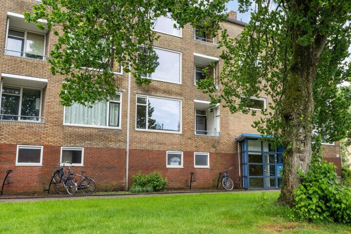 Dierenriemstraat 167