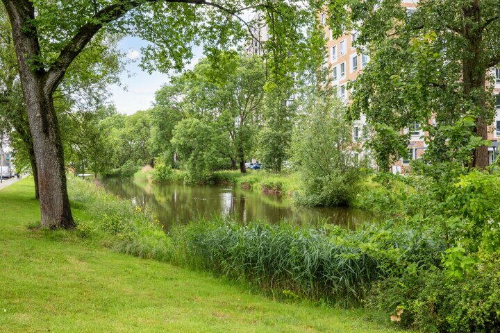 Foto 48 – Dierenriemstraat 167, Groningen