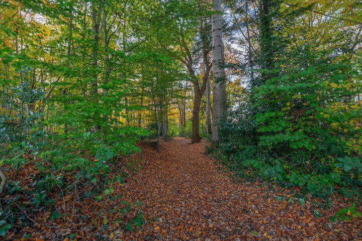 Foto 60 - Dikkesteenweg 30, Havelte