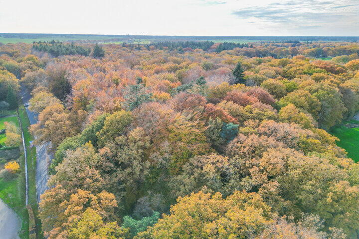 Foto 61 - Dikkesteenweg 30, Havelte