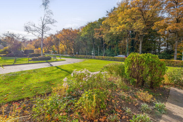 Foto 62 - Dikkesteenweg 30, Havelte