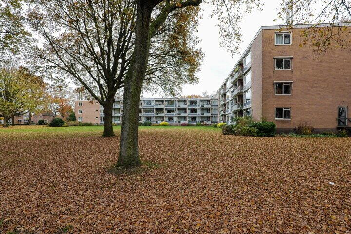 Foto 36 - Dingspellaan 29, Zuidlaren