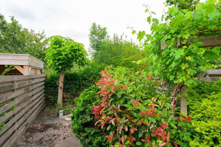 Foto 23 – Disneystrook 62, Zoetermeer
