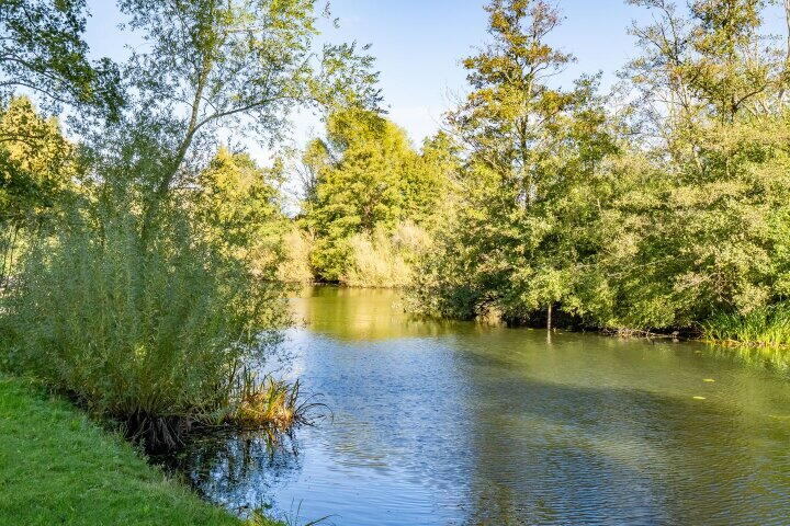 Foto 6 – Distelvlinderberm 46, Houten