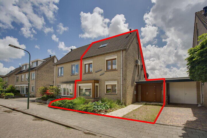 Dotterbloem 9